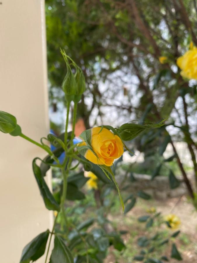 Villa Valmas Katsaros  Buitenkant foto